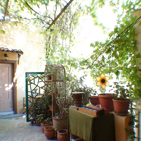 Apartament Earini And *